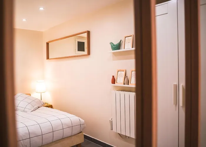 Charming Souplex In Paris